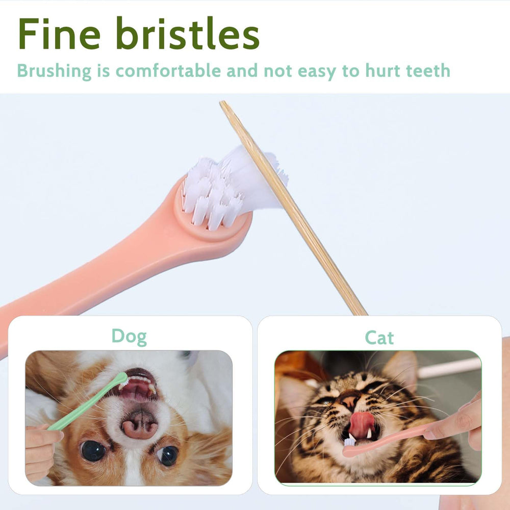 Salbsever travel-friendly packaging – ideal for on-the-go pet dental care