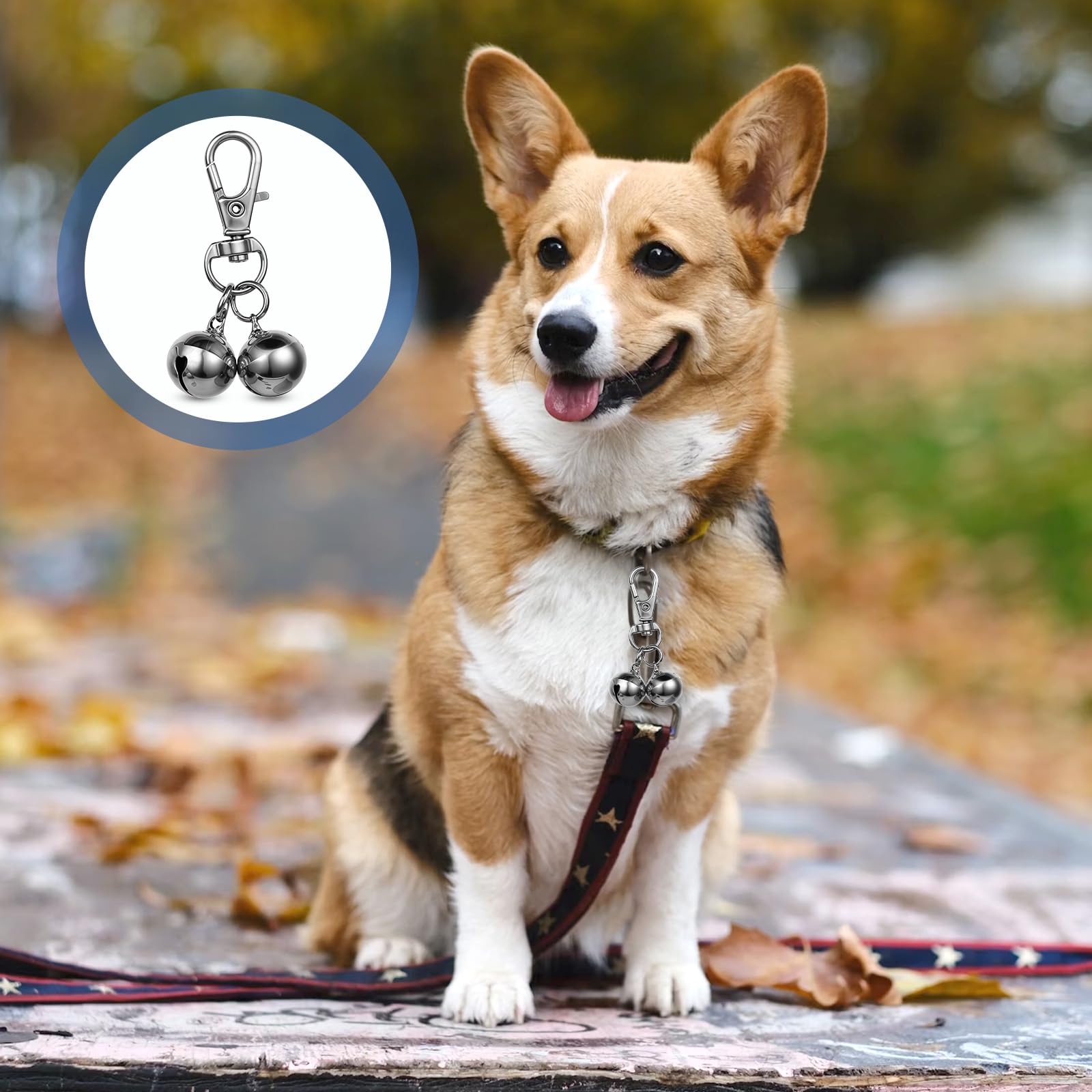 Salbsever two-packs offer convenient pet visibility during outings