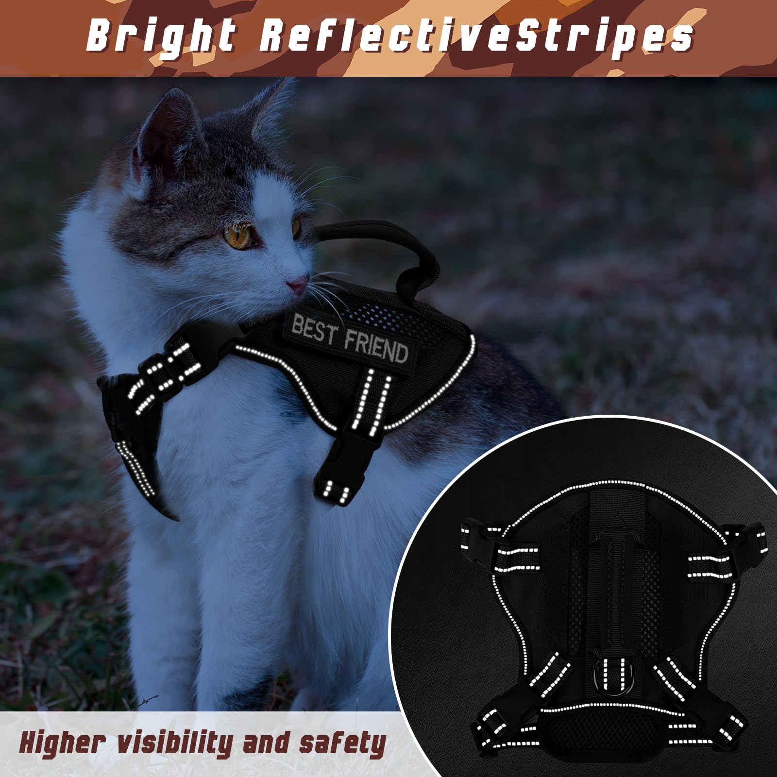 Salfse reflective webbing keeps your cat visible during night walks.