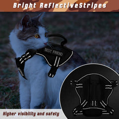 Salfse reflective webbing keeps your cat visible during night walks.