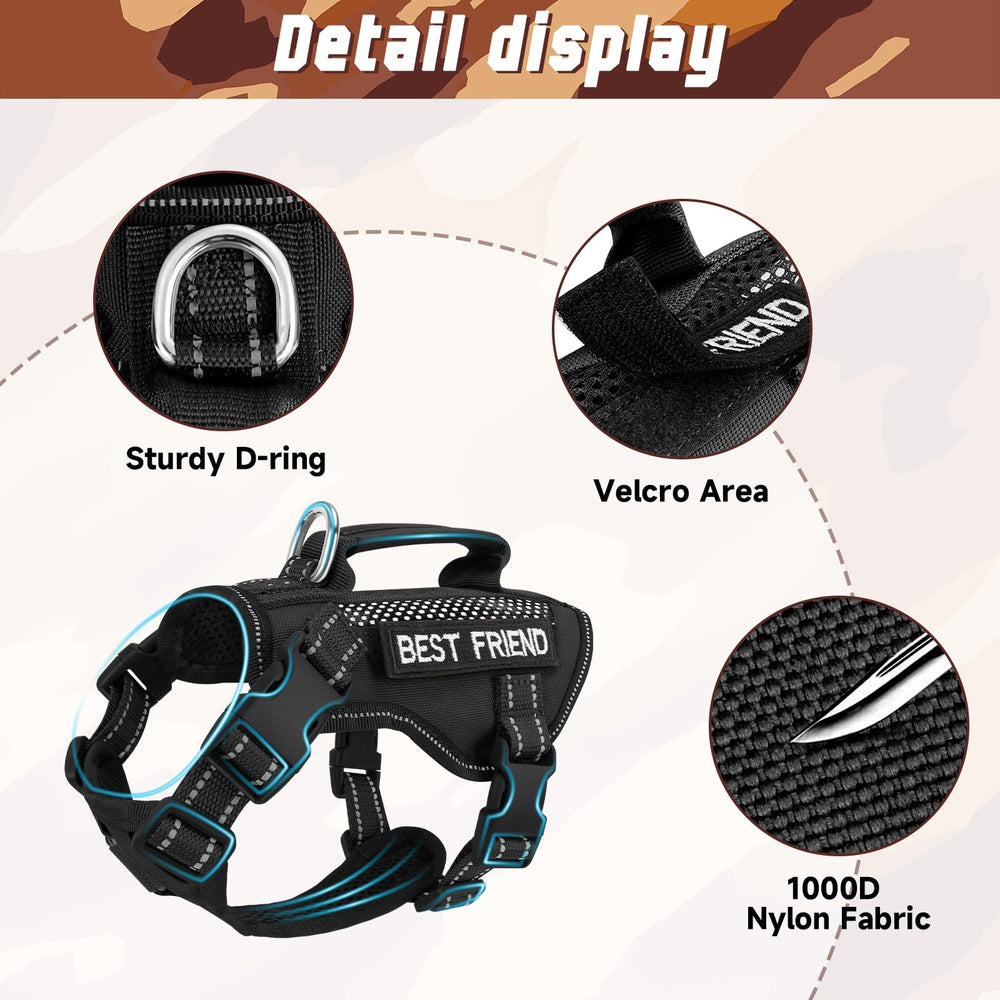 Salfse adjustable neck and chest fit with four quick-release buckles.