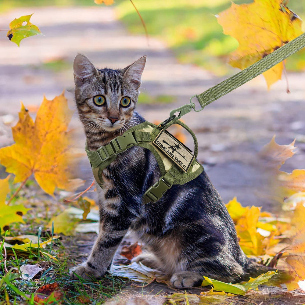Salfse tactical cat harness 5ft leash offers safe exploration with balanced leash length.
