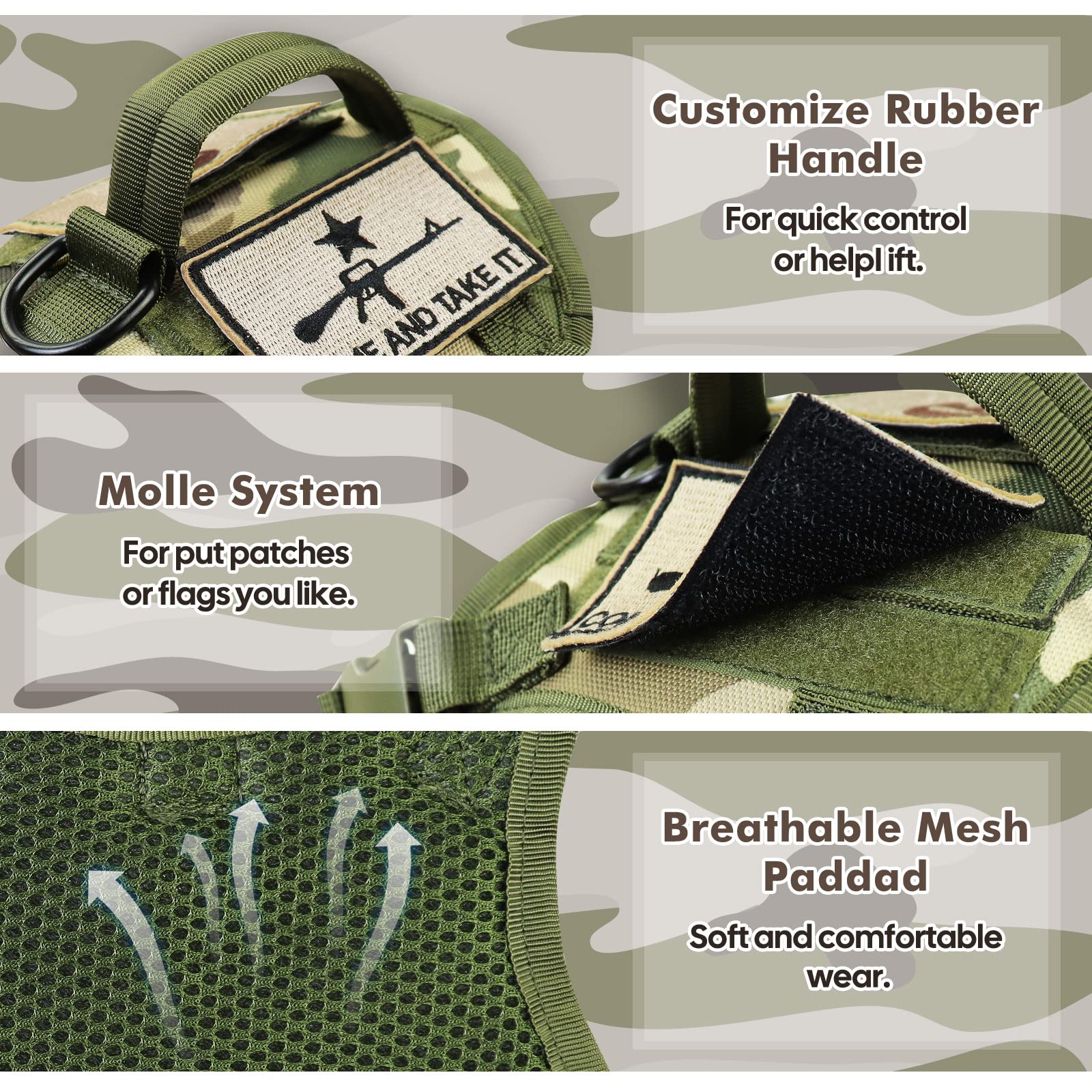 Salfse tactical cat harness D-ring leash attachment demonstrates reliable control during exploration.