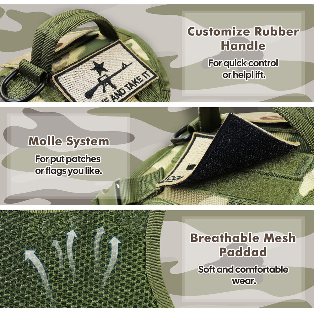 Salfse tactical cat harness D-ring leash attachment demonstrates reliable control during exploration.