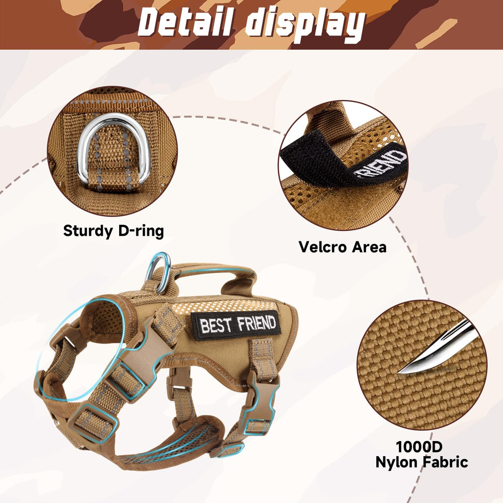 SALFSE padded handle aids gentle lifting and easy assistance