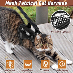 Salfse tactical cat harness with top control handle for quick support when needed.