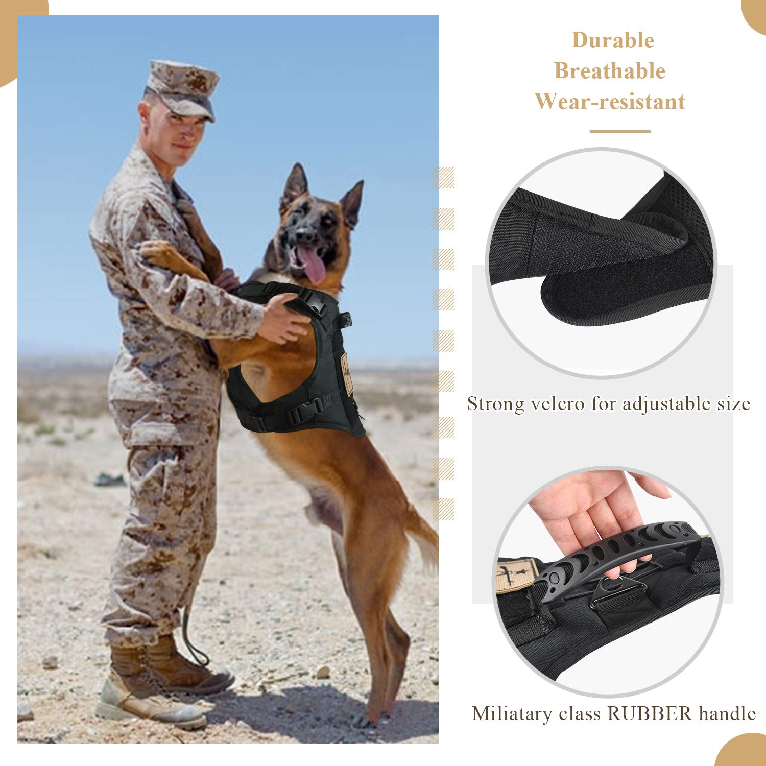 Salfse MOLLE service harness supports accessories like water bag and first aid kit