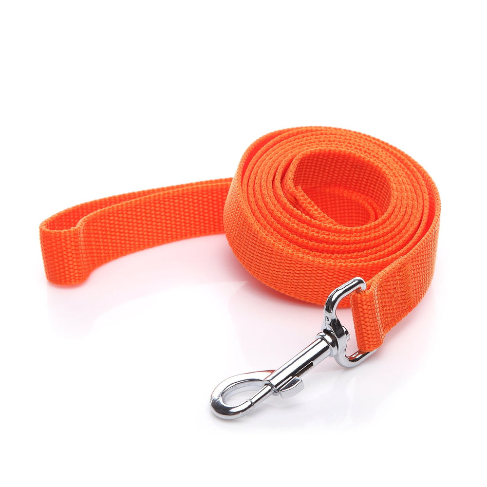 SALO Nylon dog leash 12ft orange for safe walking and exploration.