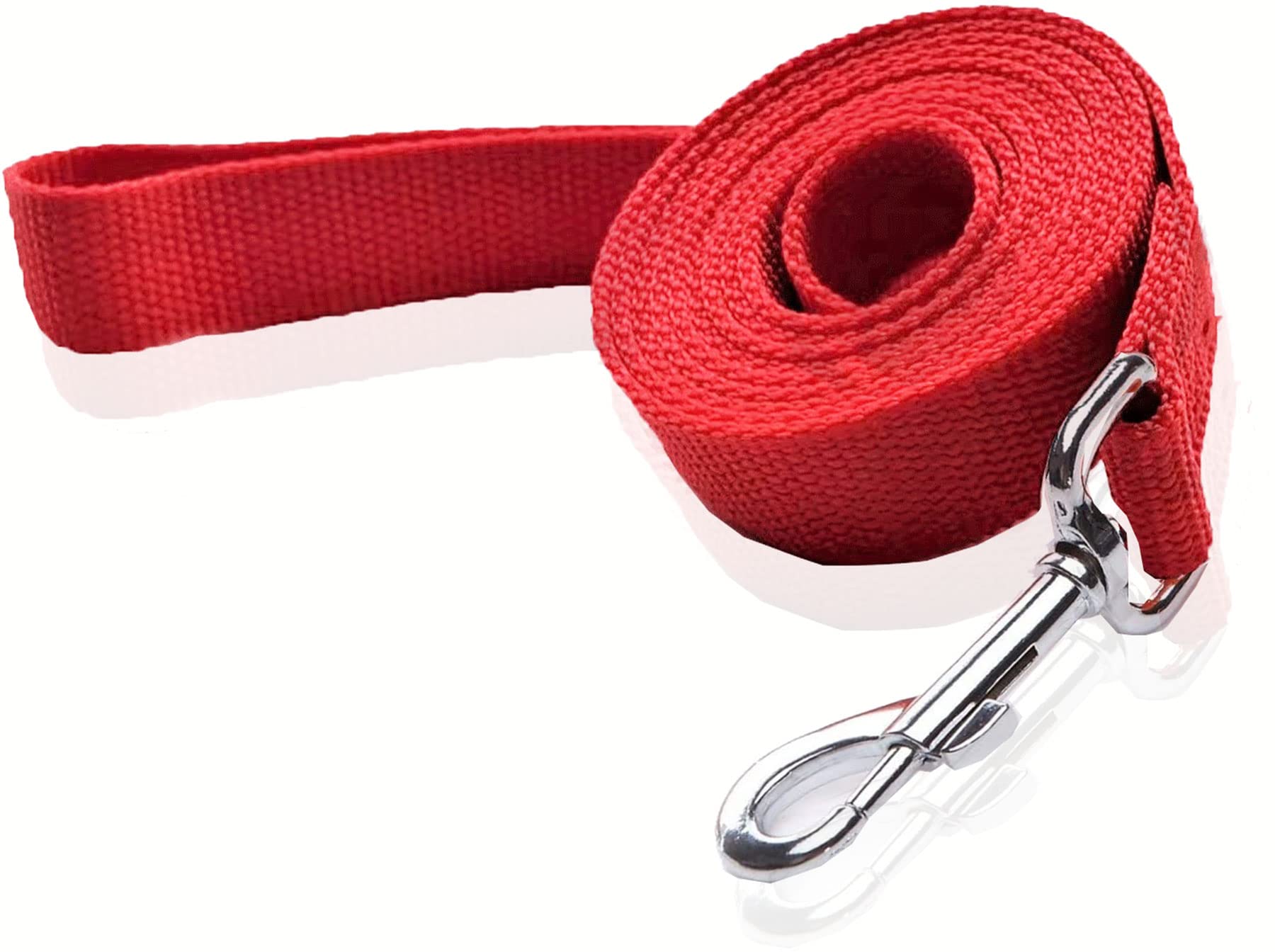 SALO nylon dog leash 16ft long shows overall walking setup for mid-to-large dogs.