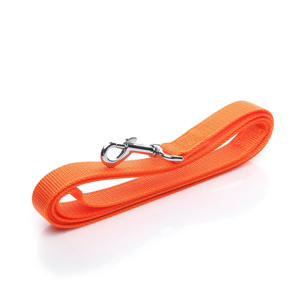 SALO Nylon dog leash 1inch wide ensures durability during active training sessions.