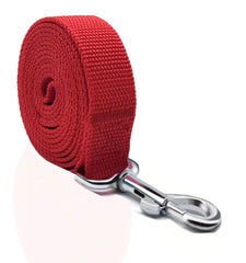 SALO nylon dog leash 1-inch width highlights durable construction for daily training.