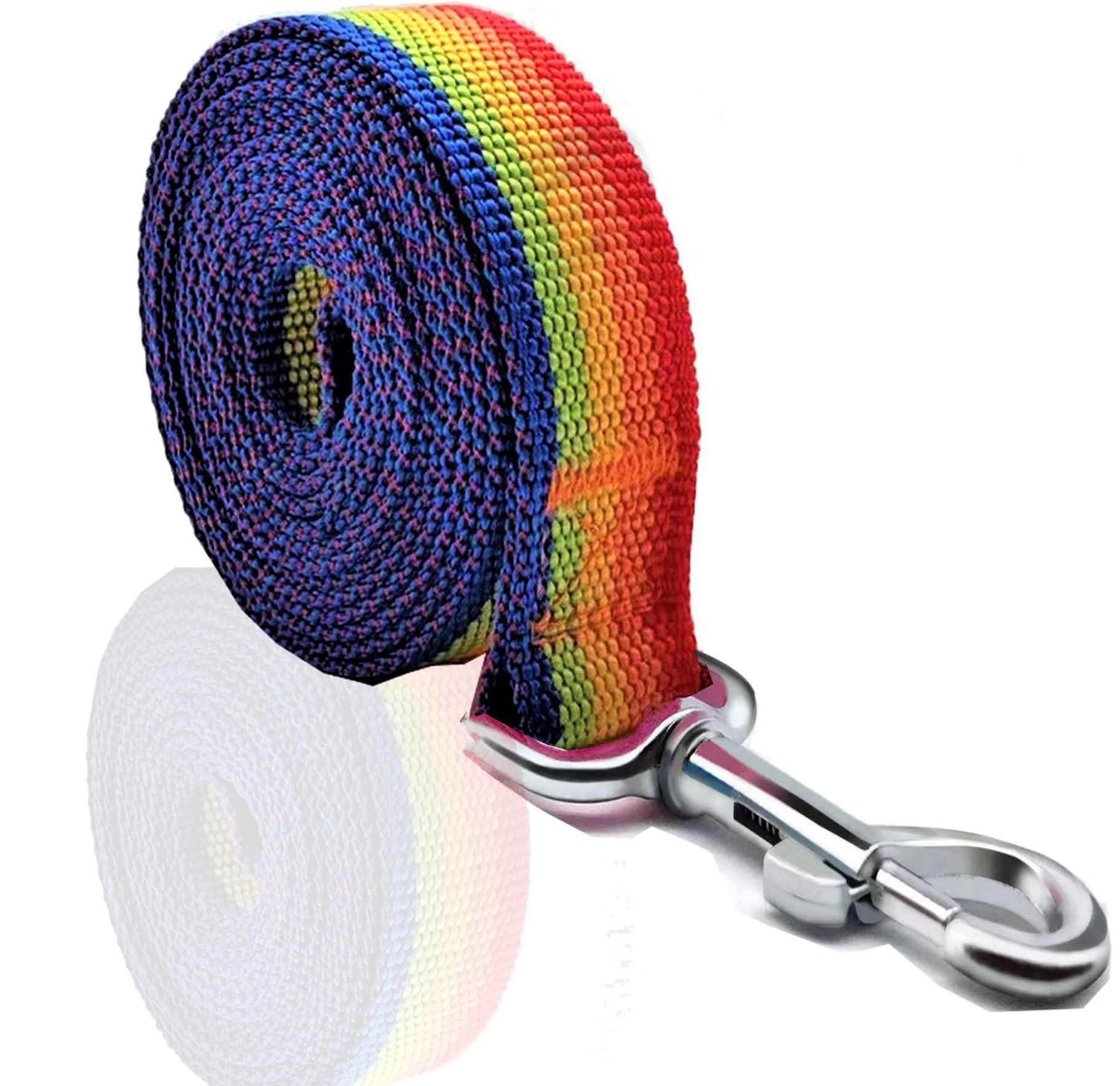 SALO nylon dog leash 8 feet laid flat demonstrates ample length for training.