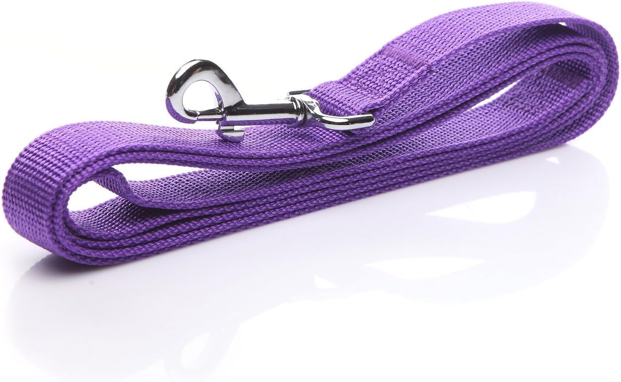 SALO nylon dog leash 8ft color options for easy matching with your dog's collar.