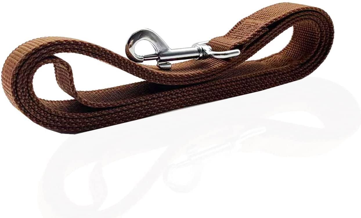 SALO 8ft hiking and training leash for controlled exploration