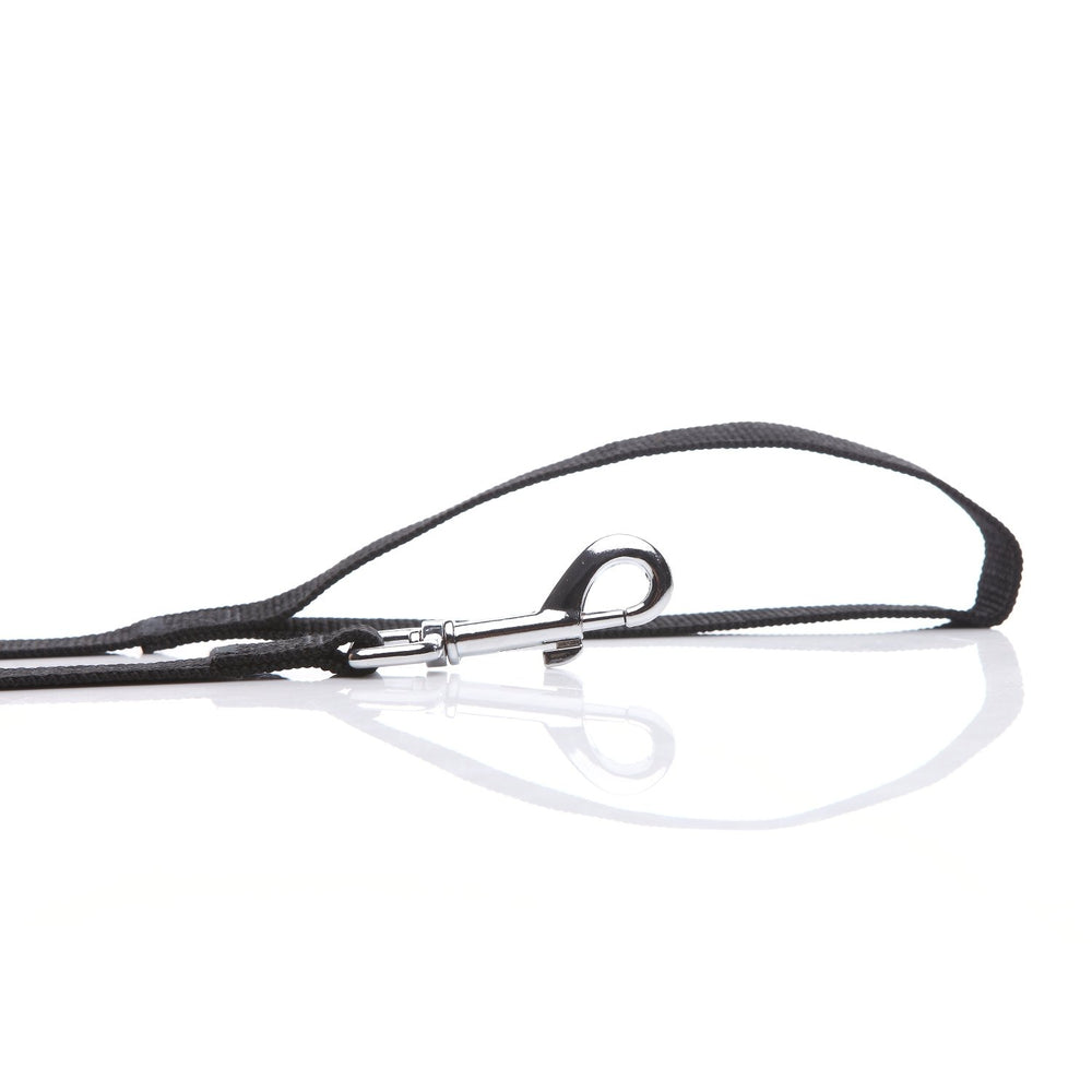 SALO nylon dog leash color options highlight vibrant training and daily walks