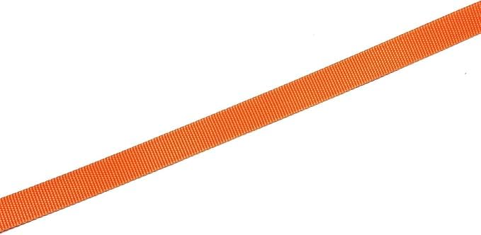 SALO nylon dog leash color range display highlights style options for every dog.