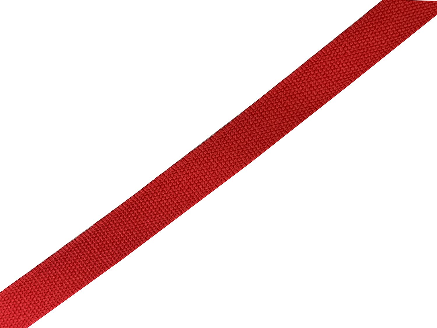 SALO leash in use during a hike demonstrates space to sniff while staying controlled.