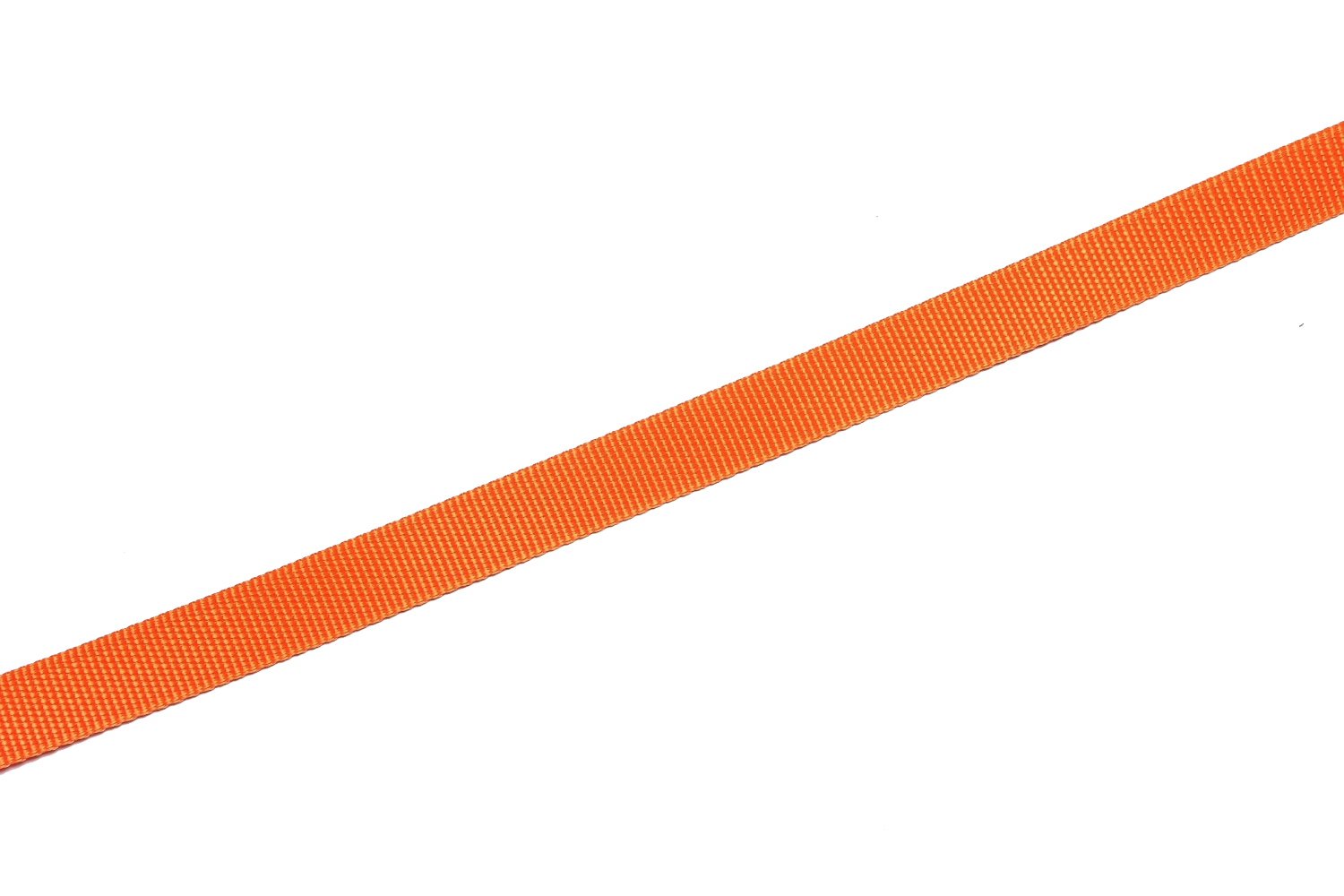SALO nylon dog leash orange with optional matching collar for cohesive setup.