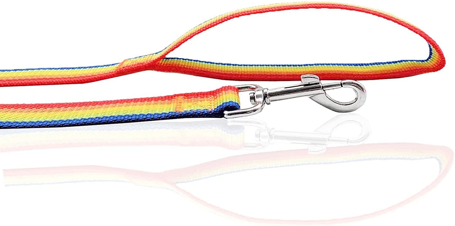 SALO nylon dog leash rainbow color options help you style while walking.