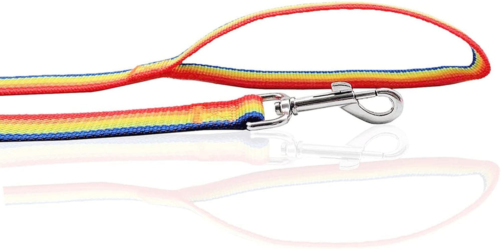 SALO nylon dog leash rainbow color options help you style while walking.