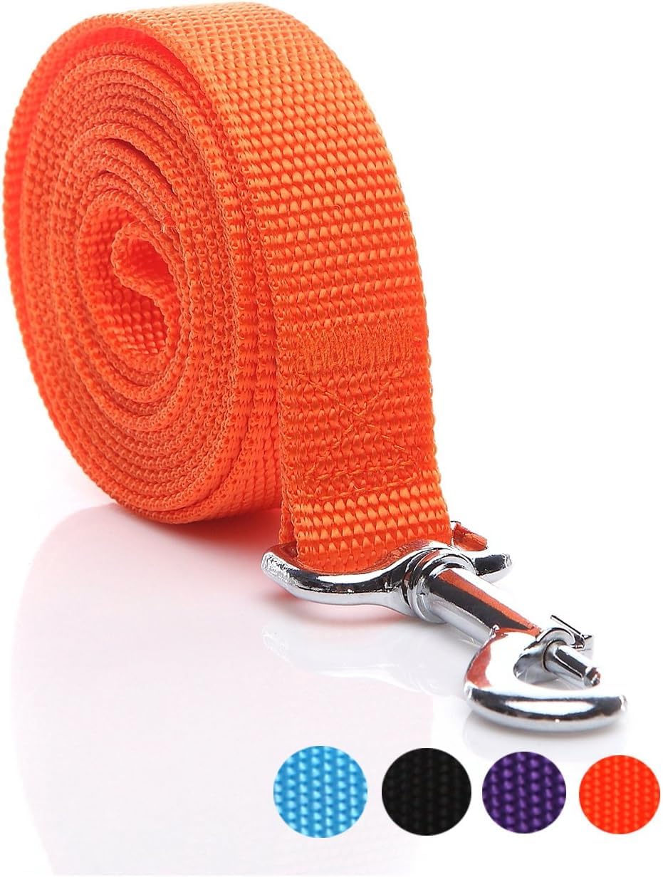 SALO nylon dog leash stainless snap hook for secure attachment during quick jogs.