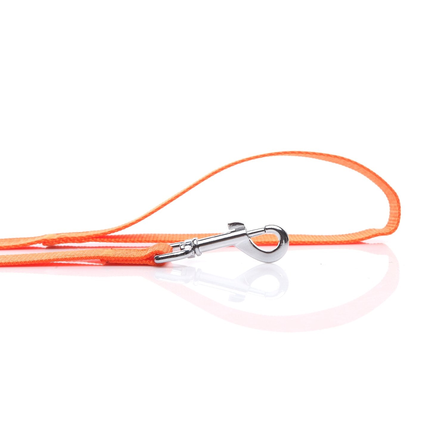SALO Nylon dog leash great for walking and training, offering versatile outdoor use.