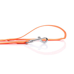 SALO Nylon dog leash great for walking and training, offering versatile outdoor use.