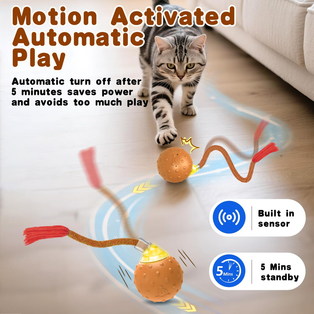 Salodal motion-activated feature starts play as your cat approaches.