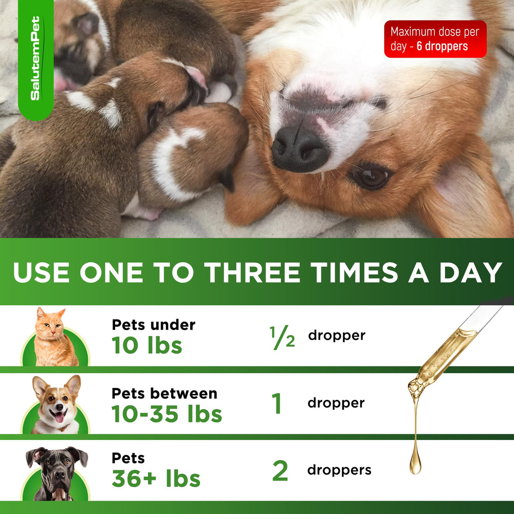 SalutemPet all-breeds multivitamin suitable for cats and dogs in pregnancy.