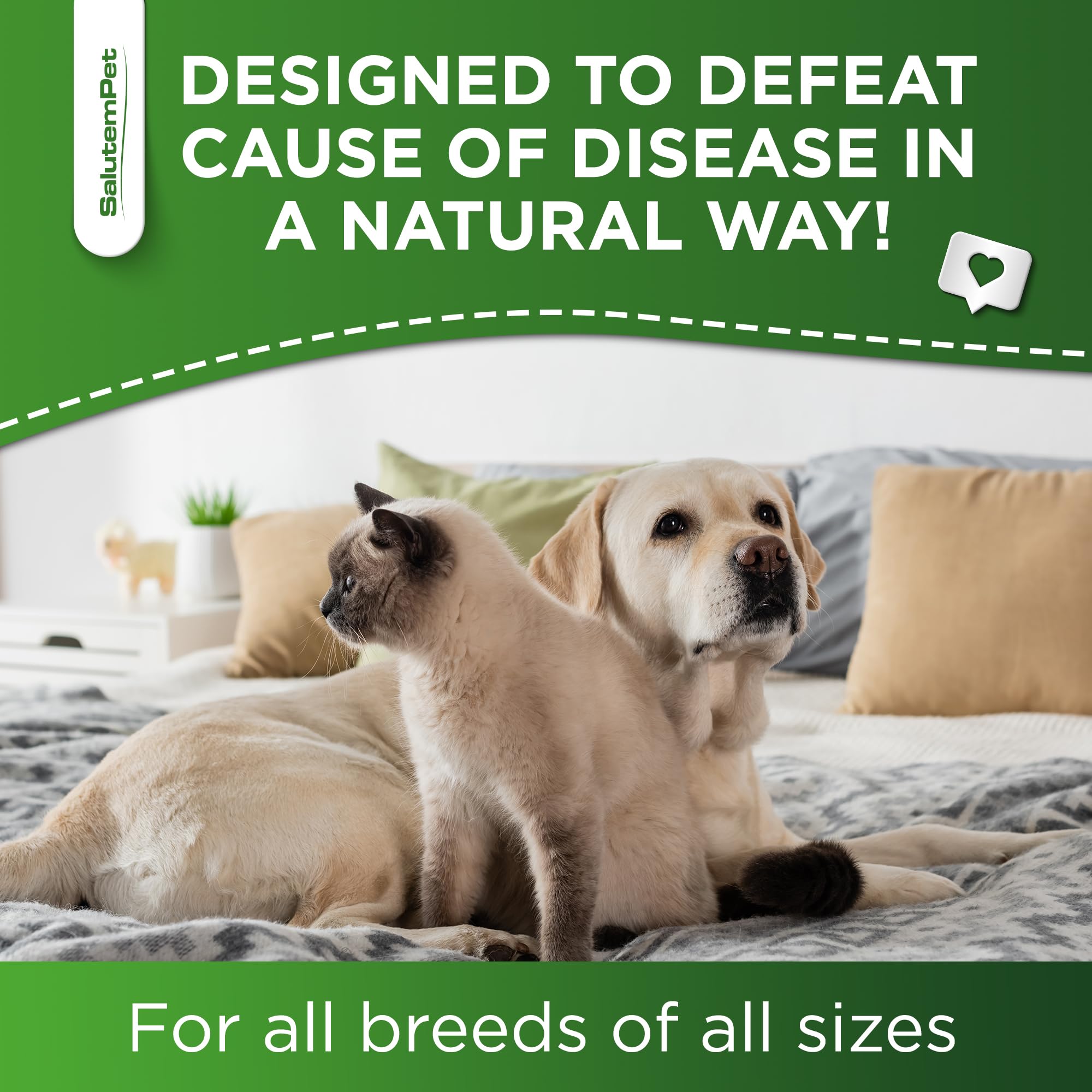 SalutemPet-all-breeds-supplement suitable for dogs and cats of every size.