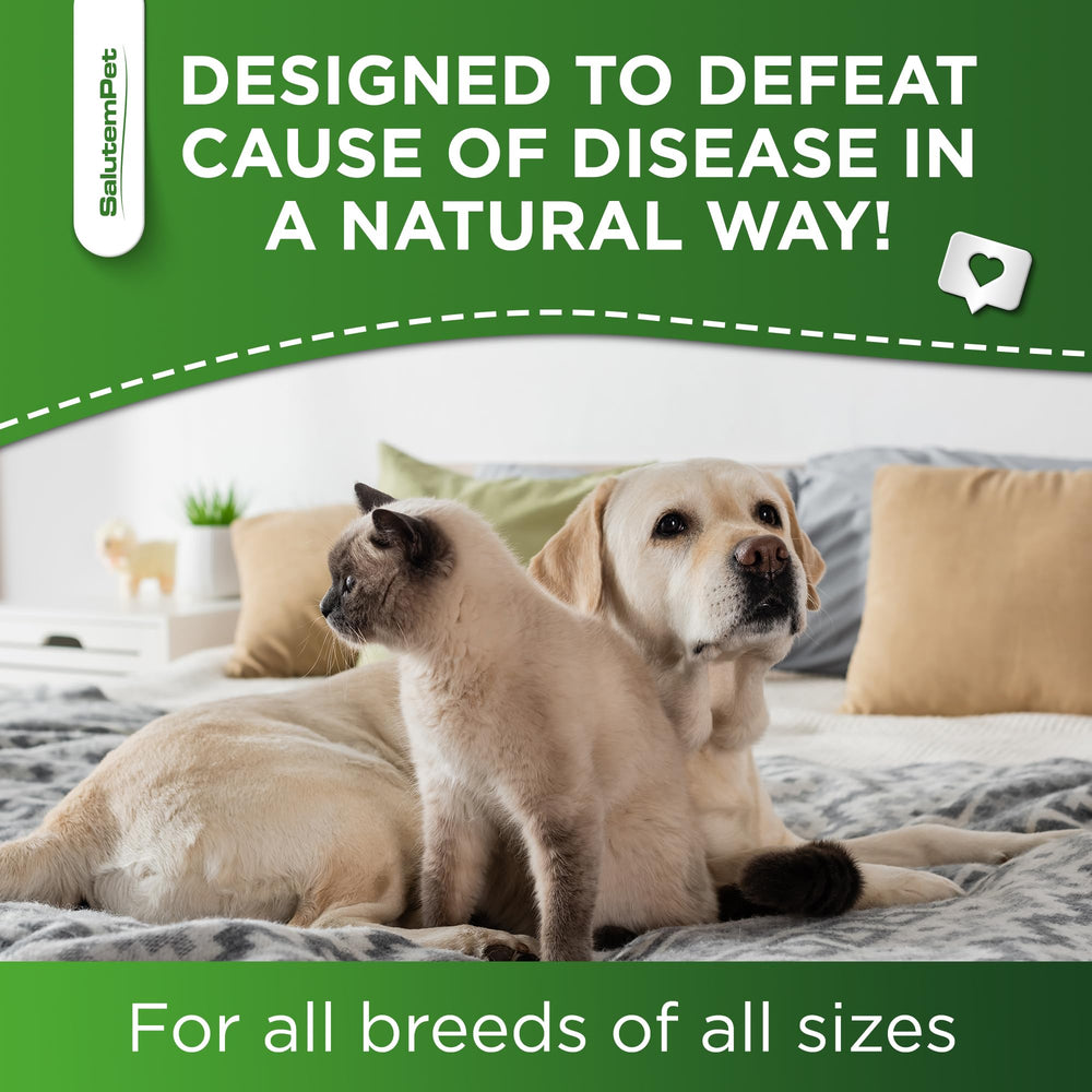 SalutemPet-all-breeds-supplement suitable for dogs and cats of every size.