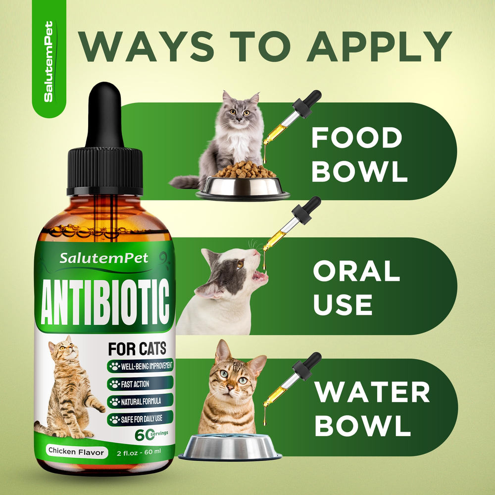 SalutemPet cat antibiotic chicken-flavor bottle appealing to picky eaters.