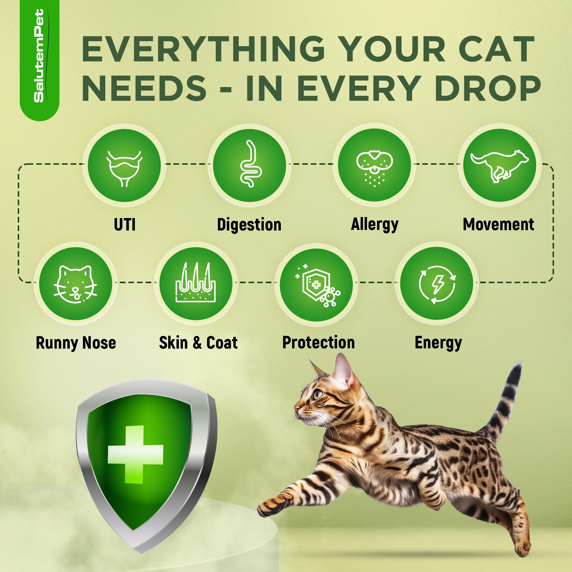 SalutemPet cat antibiotic dosing dropper shown for precise administration.