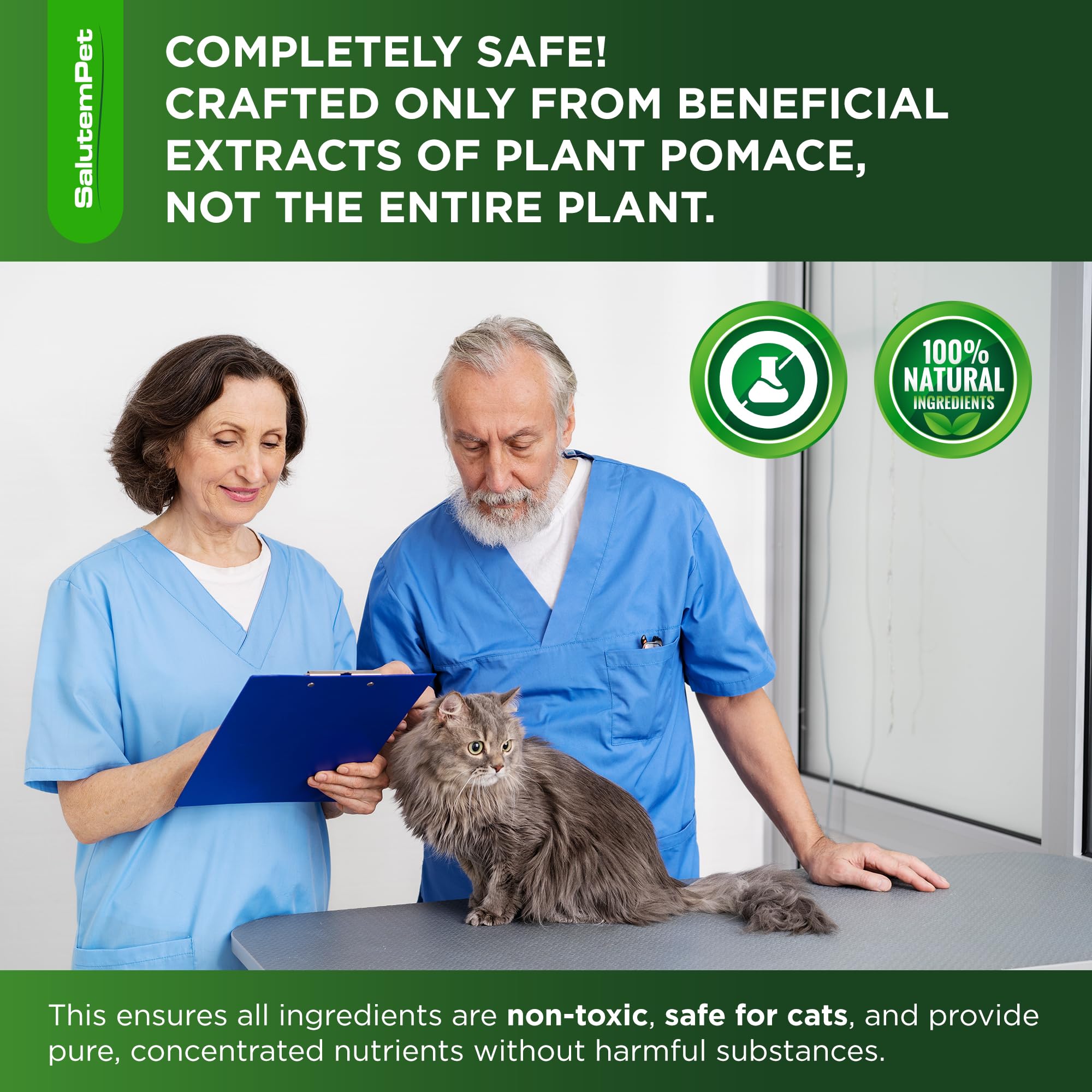SalutemPet cat antibiotic added to food bowl for easy meal-time integration.