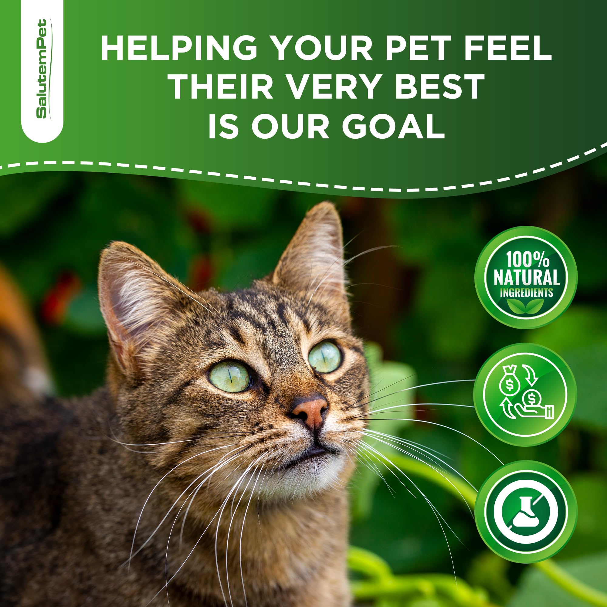 SalutemPet cat probiotics chicken-flavor-appeal hints tasty supplementation.