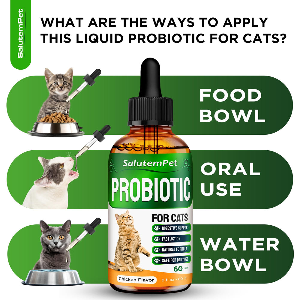  SalutemPet cat probiotics indoor-cat-use visuals highlight gut health.