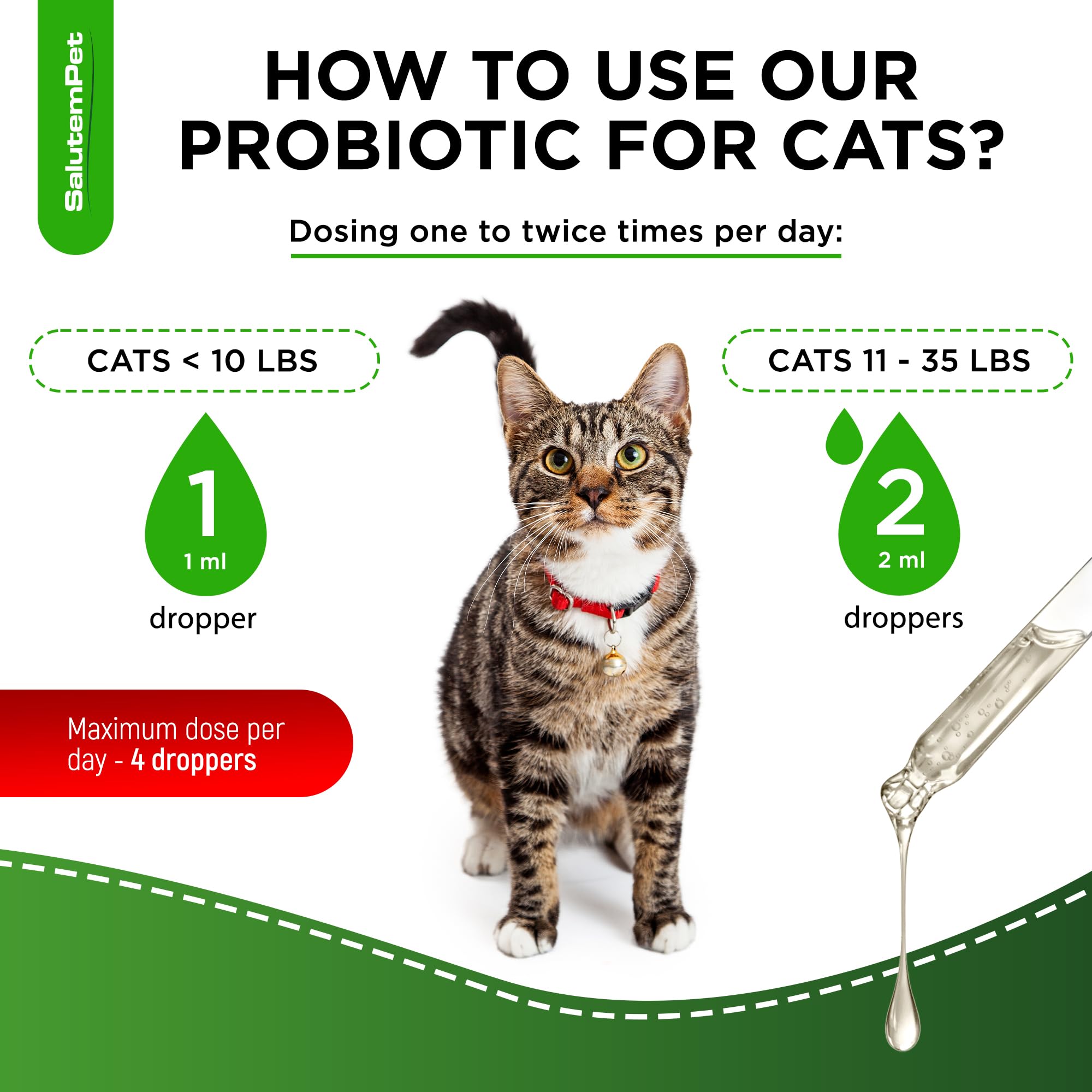  SalutemPet cat probiotics prebiotic-step visuals emphasize enhanced activation.