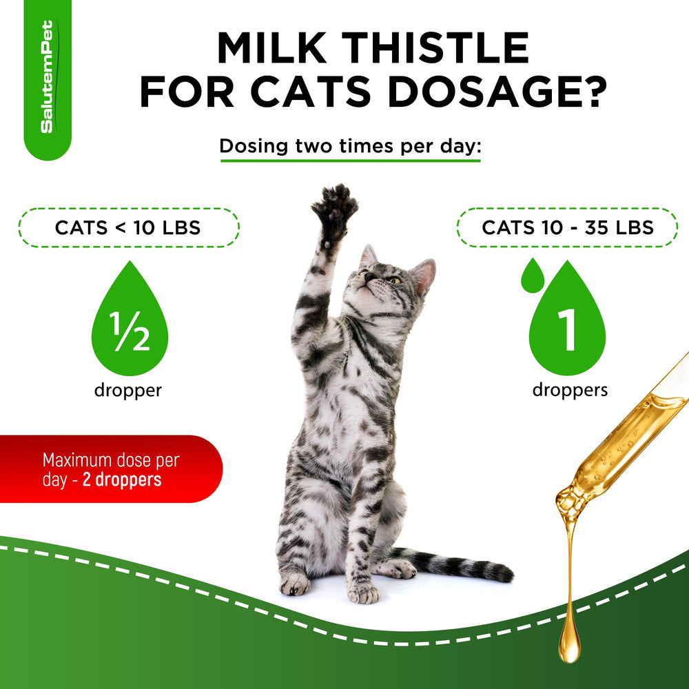 SalutemPet cat urinary-support formula for all breeds—gentle herbal action.