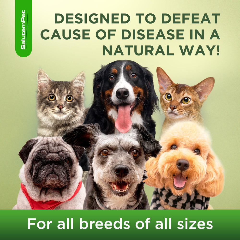  A dog or cat receives SalutemPet support during daily care.
