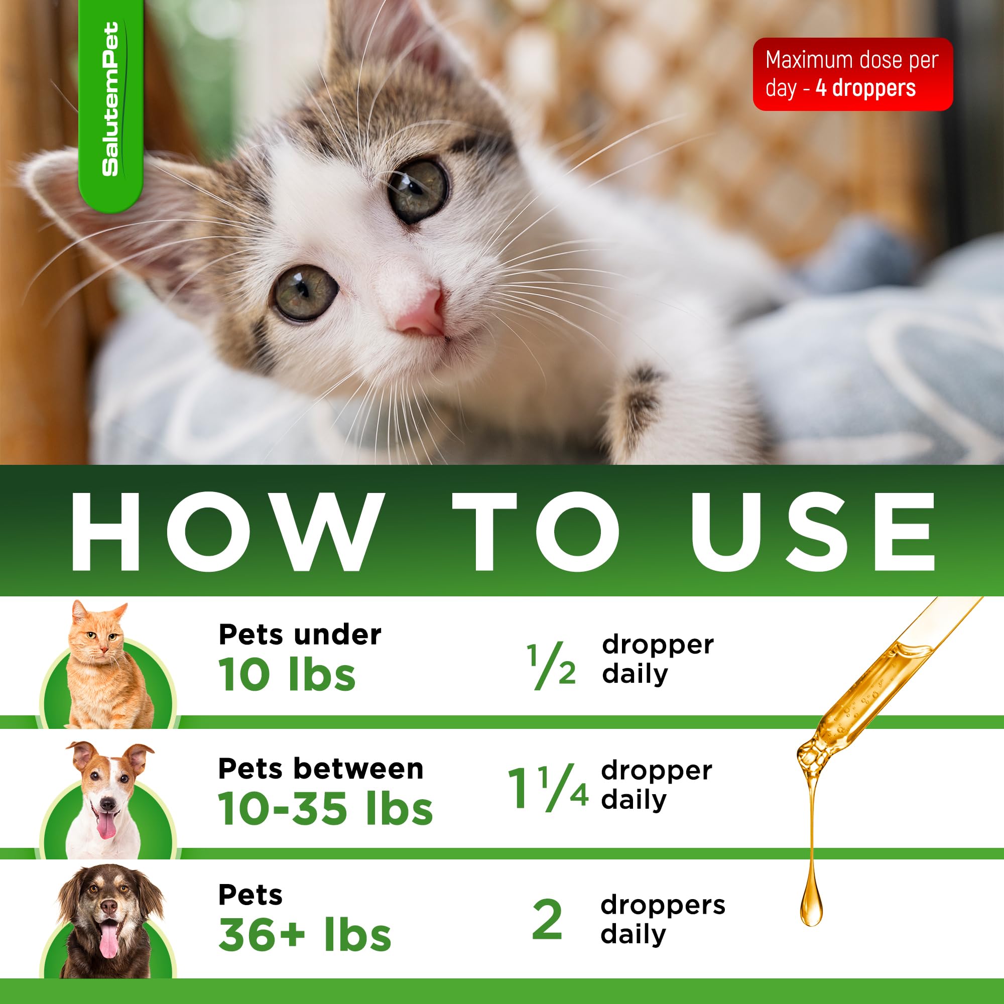 SalutemPet-dog-activity-after-dosing captures pets staying active after dosing.