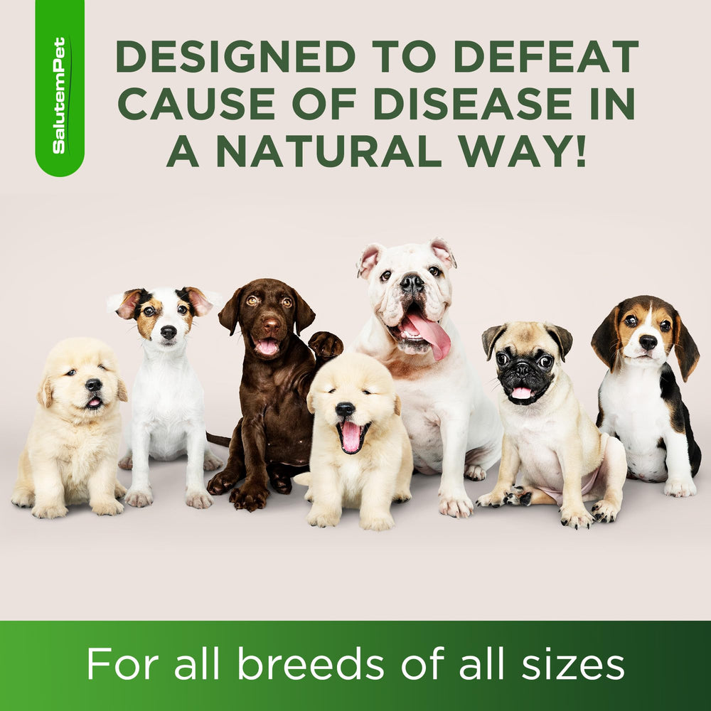 SalutemPet easy-administration drops shown for mouth or food-based application.