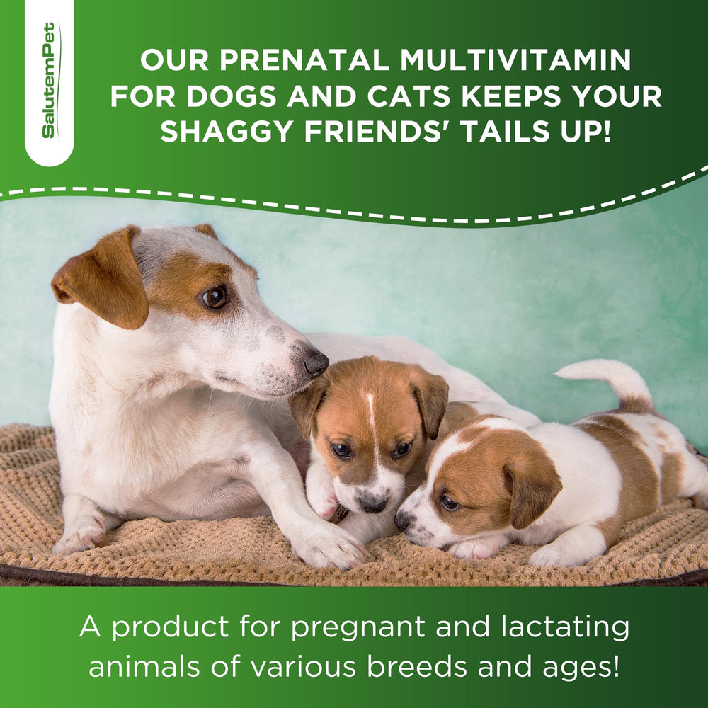SalutemPet easy-dosage-dropper showing simple addition to meals or water.