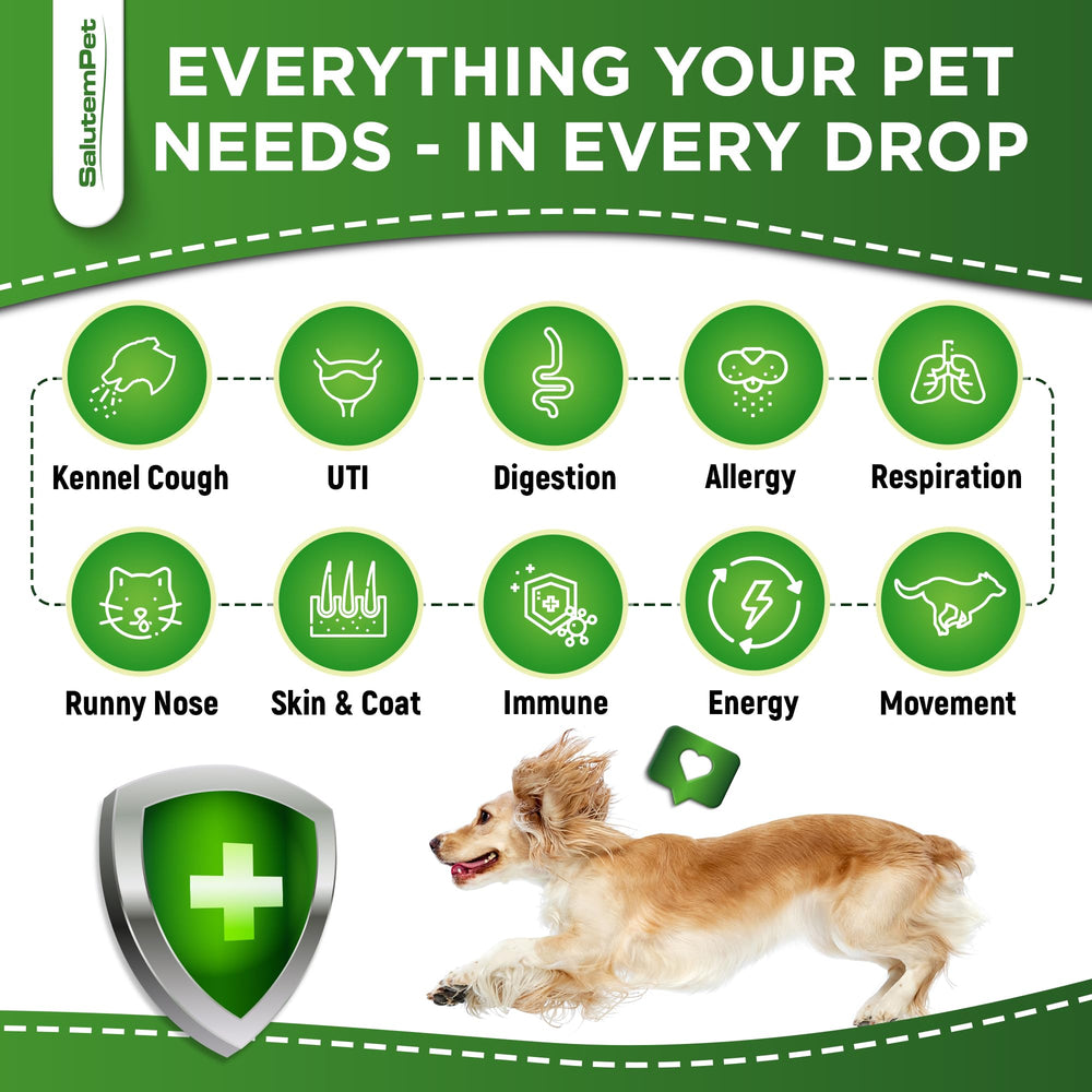 SalutemPet herbal-supplement-dog-bowl enables convenient feeding for digestive comfort.