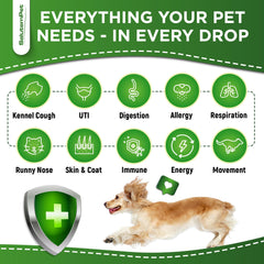 SalutemPet herbal-supplement-dog-bowl enables convenient feeding for digestive comfort.