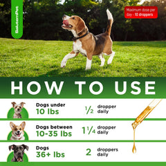SalutemPet natural dog supplement drops displayed for all breeds and easy integration.