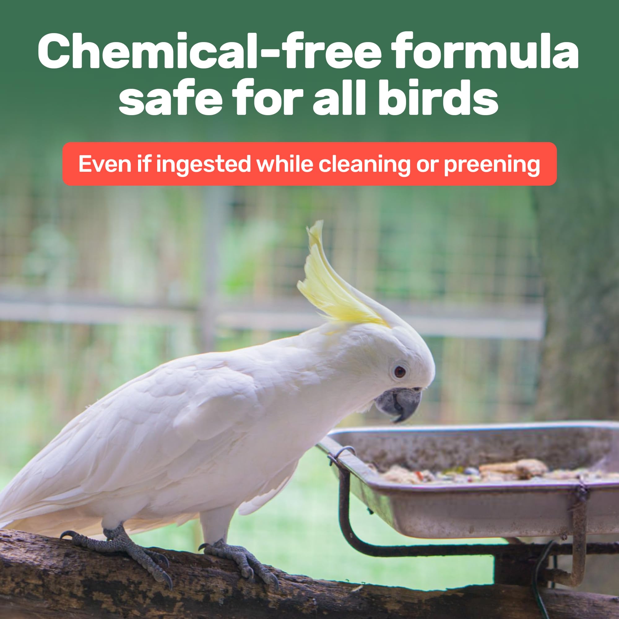 Samorillo Aloe Vera Bird Spray mist demonstrates safe, residue-free hydration for plumage.