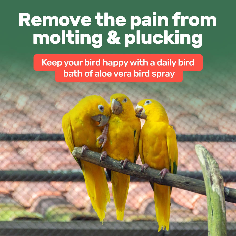 Samorillo Chemical-free-formula bird safety highlights plant-based care.