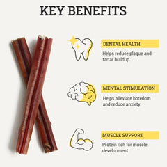 Sancho & Lola's Closet dog chewing: engaging, durable treat for teething and chewing.