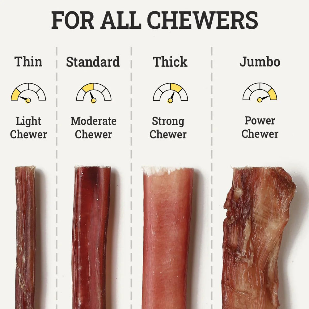 Sancho & Lola's Closet low odor: cleaner chew experience for homes with pets.