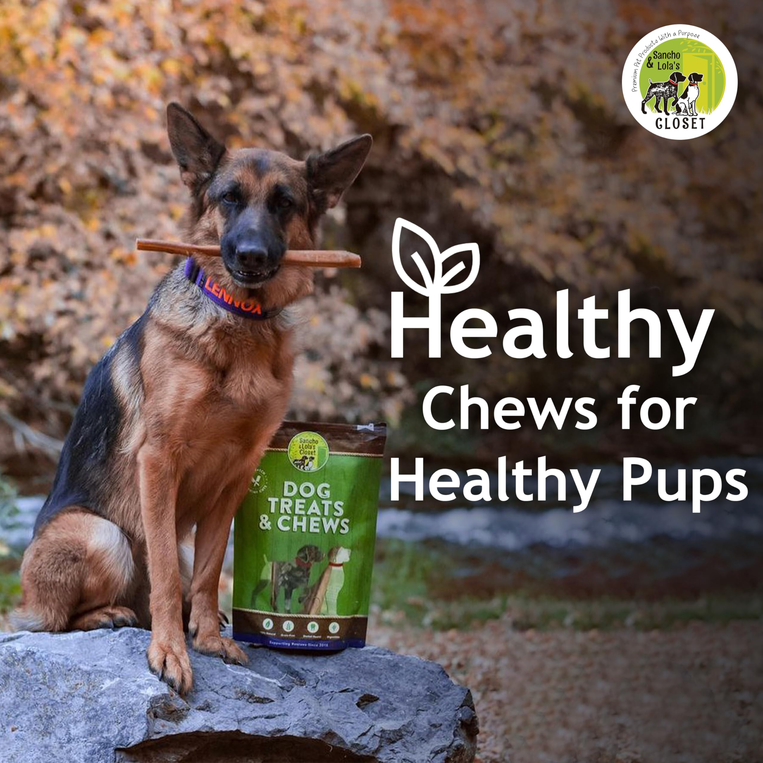 Sancho & Lola's Closet packaging: sturdy box showcasing ethical sourcing in Denton, Texas.